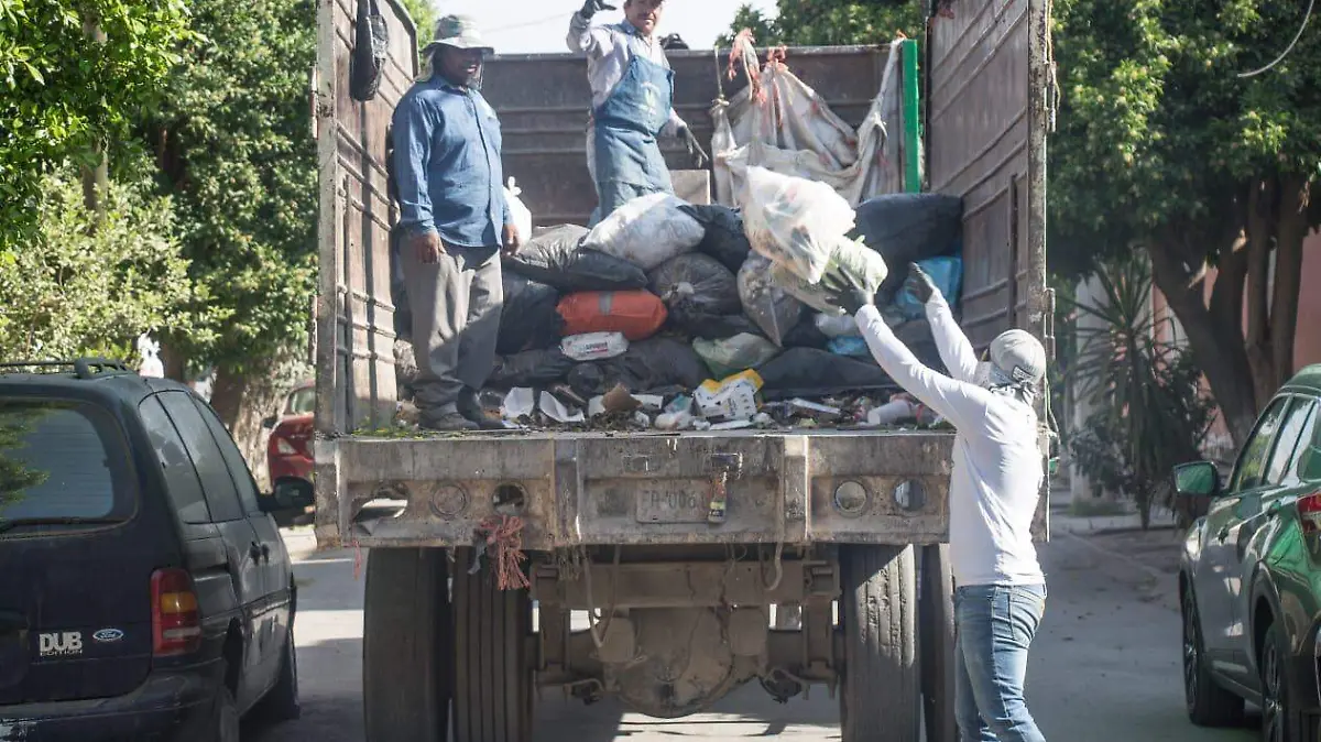 Recolección basura Lerdo